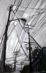 Power Lines, by K.G. Rickman