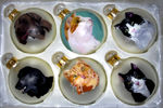 Box2 of Ornaments, by K.G. Rickman