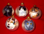 Cats, by K.G. Rickman